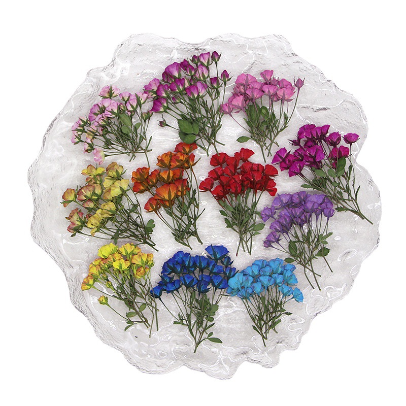Dried Flower Bookmark - 36X ditekan kering multi-kepala dicelup kuncup