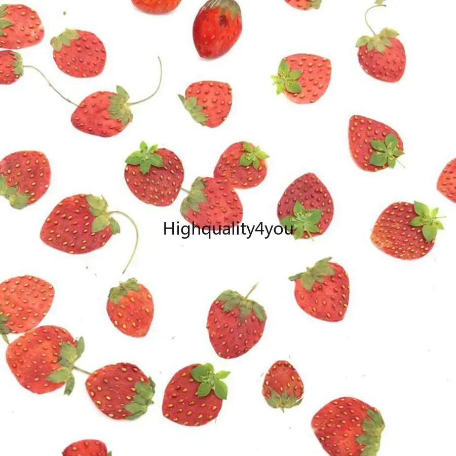 Dried Flower Bookmark - 10 buah buah kering kering buah